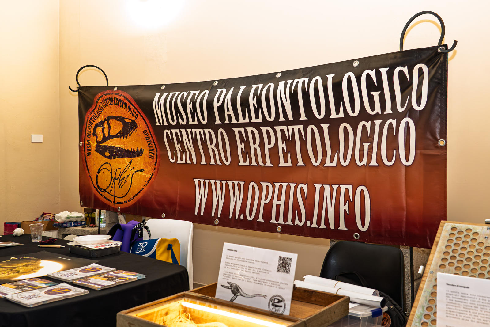 Lo striscione del museo OPHIS sopra il tavolo espositivo con vassoi di reperti e opuscoli