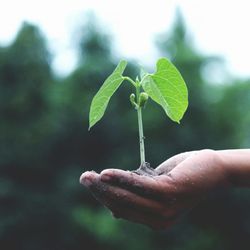 Sustainability as a Shift in Consumer Consciousness