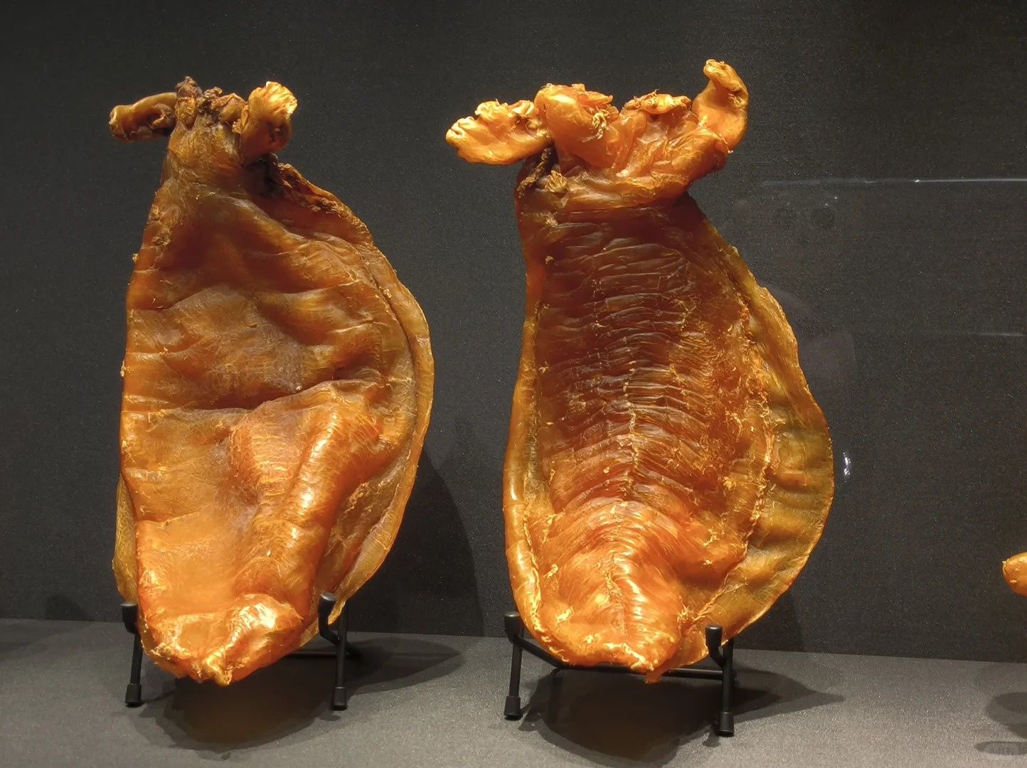 專業回收花膠、冬蟲草、鮑魚等海味