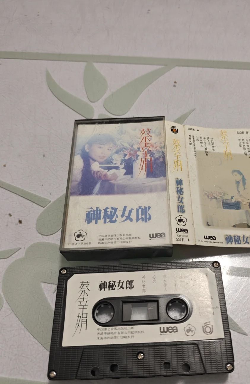 卡帶 J-Card 封面摺頁、獨立歌詞紙與紙側標一併清點完整度