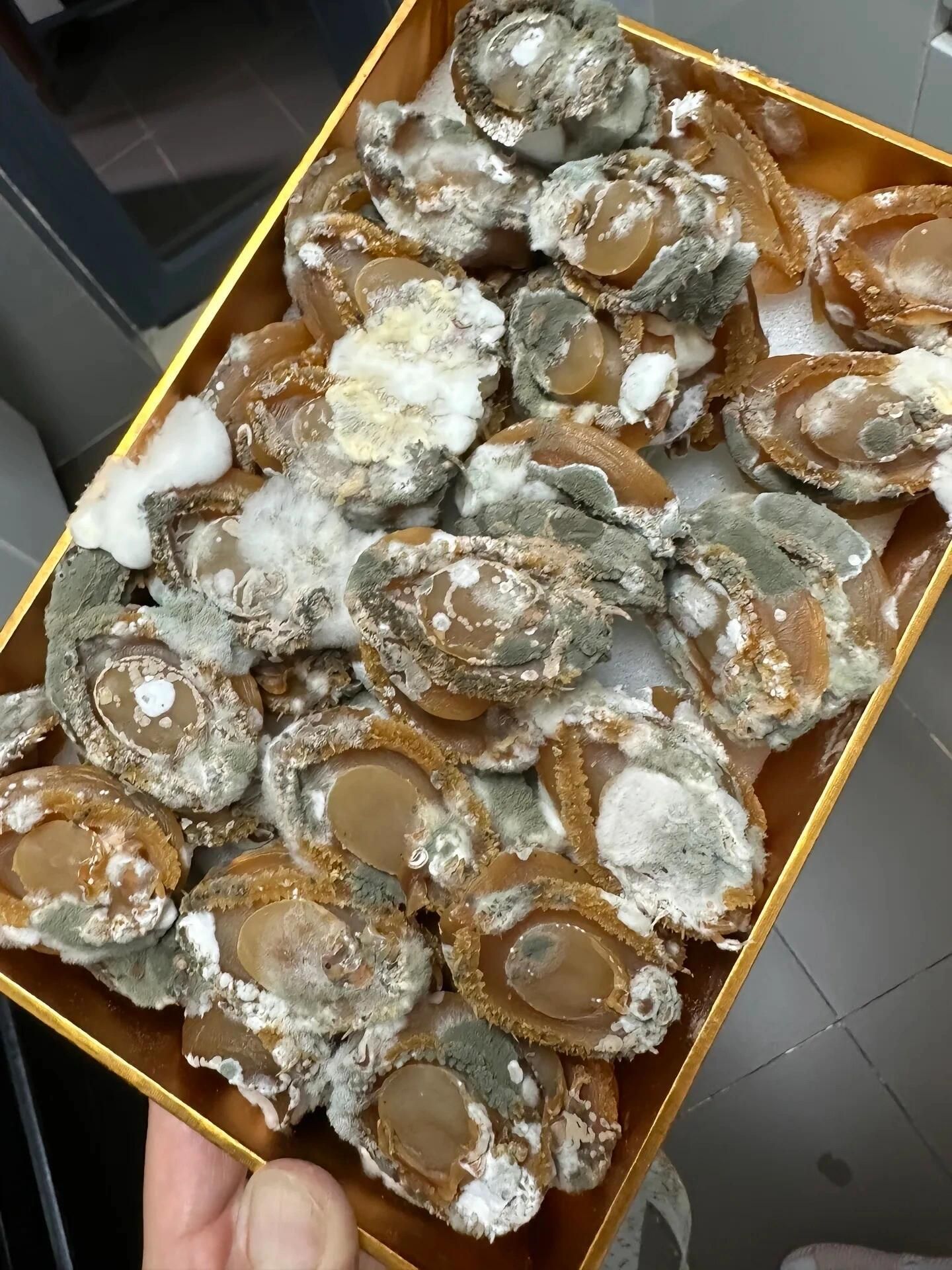 乾鮑魚溏心鹽花花心霉變與乾度完整度檢查清單