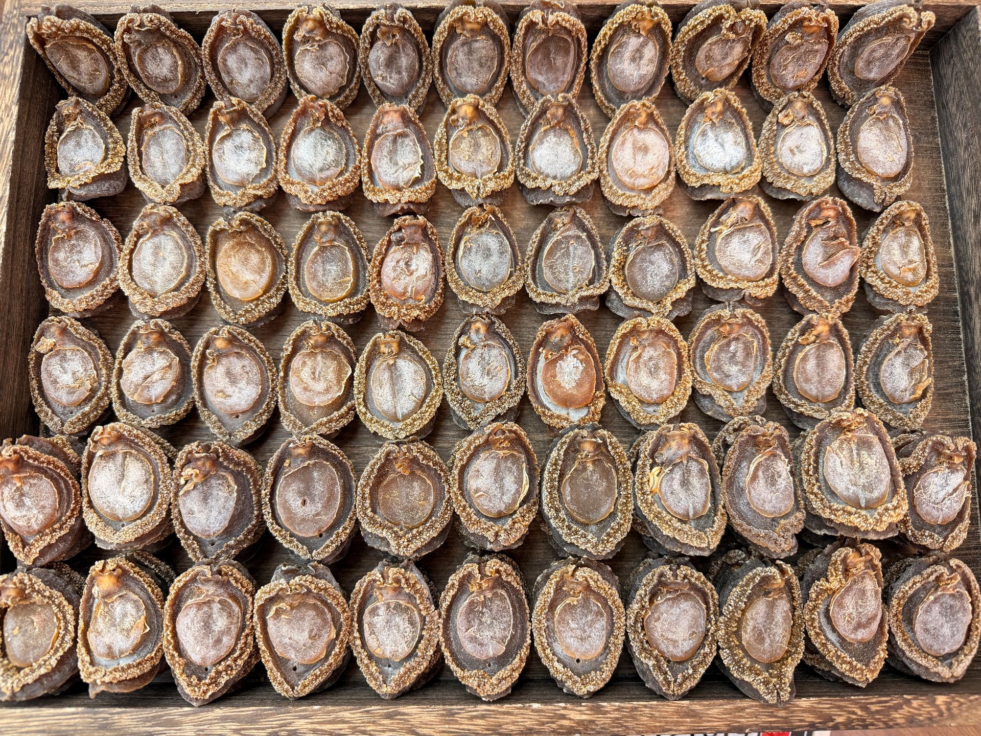 日本網鮑吉品鮑禾麻鮑與中東鮑乾鮑魚回收封面