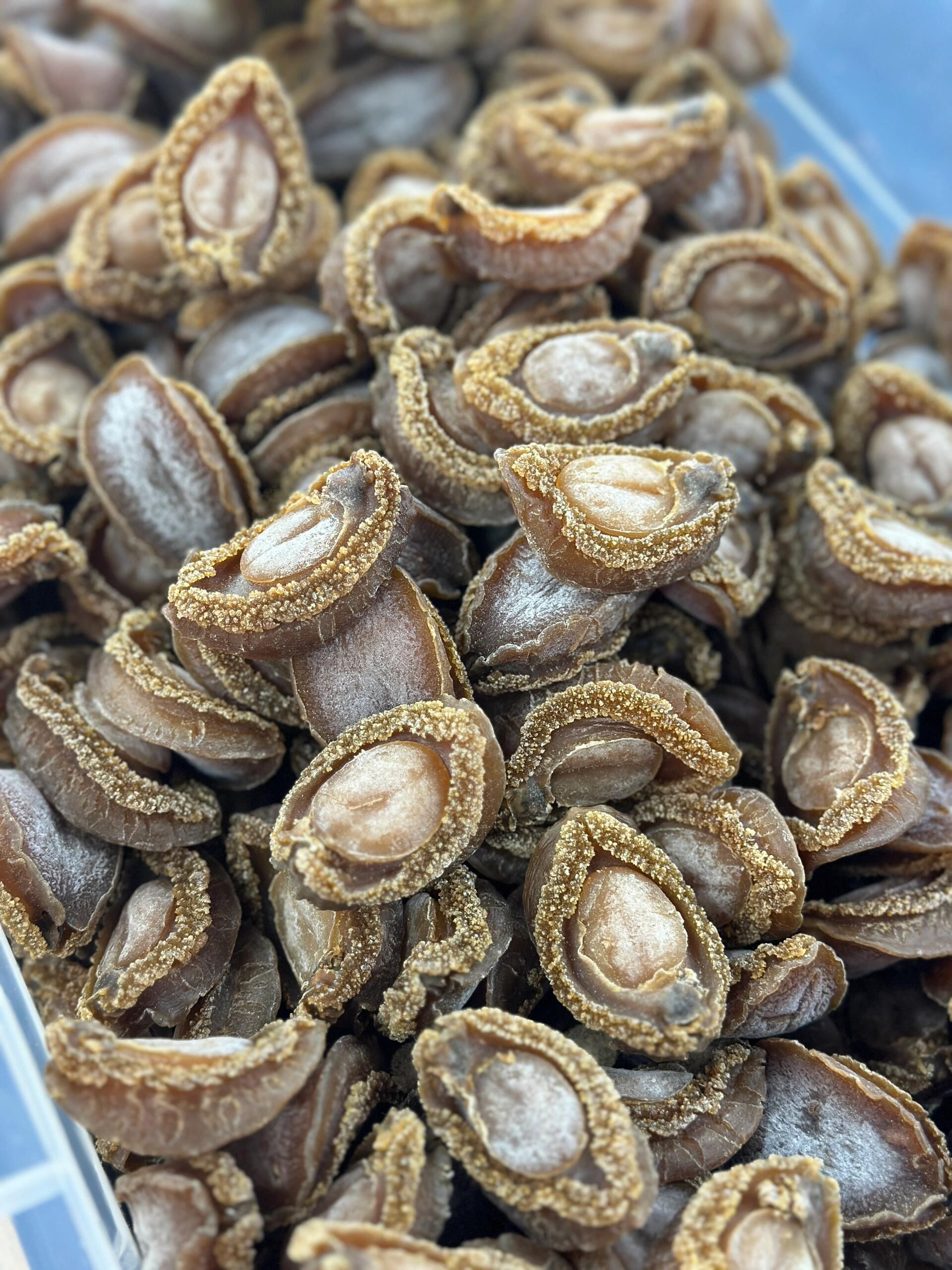 乾鮑魚頭數司馬斤重量與回收估價對照示意