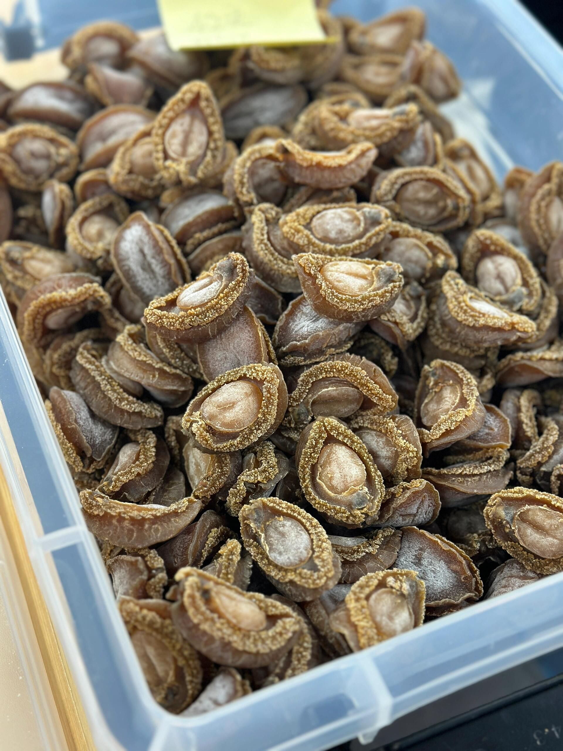 日本網鮑吉品鮑禾麻鮑外觀防偽特徵對照