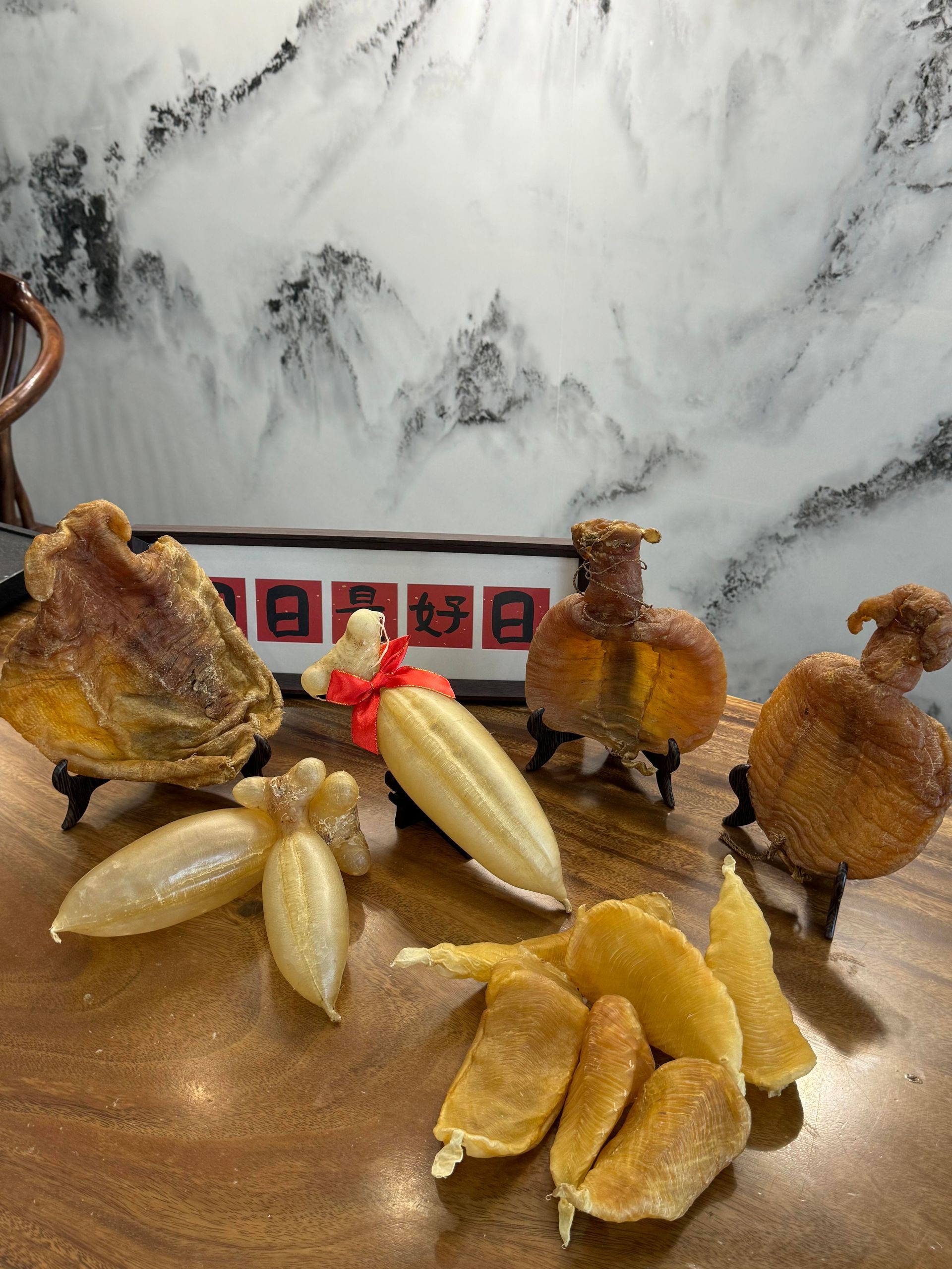 赤嘴鰵魚膠、蜘蛛膠、札膠與金龍膠等珍稀花膠品種展示