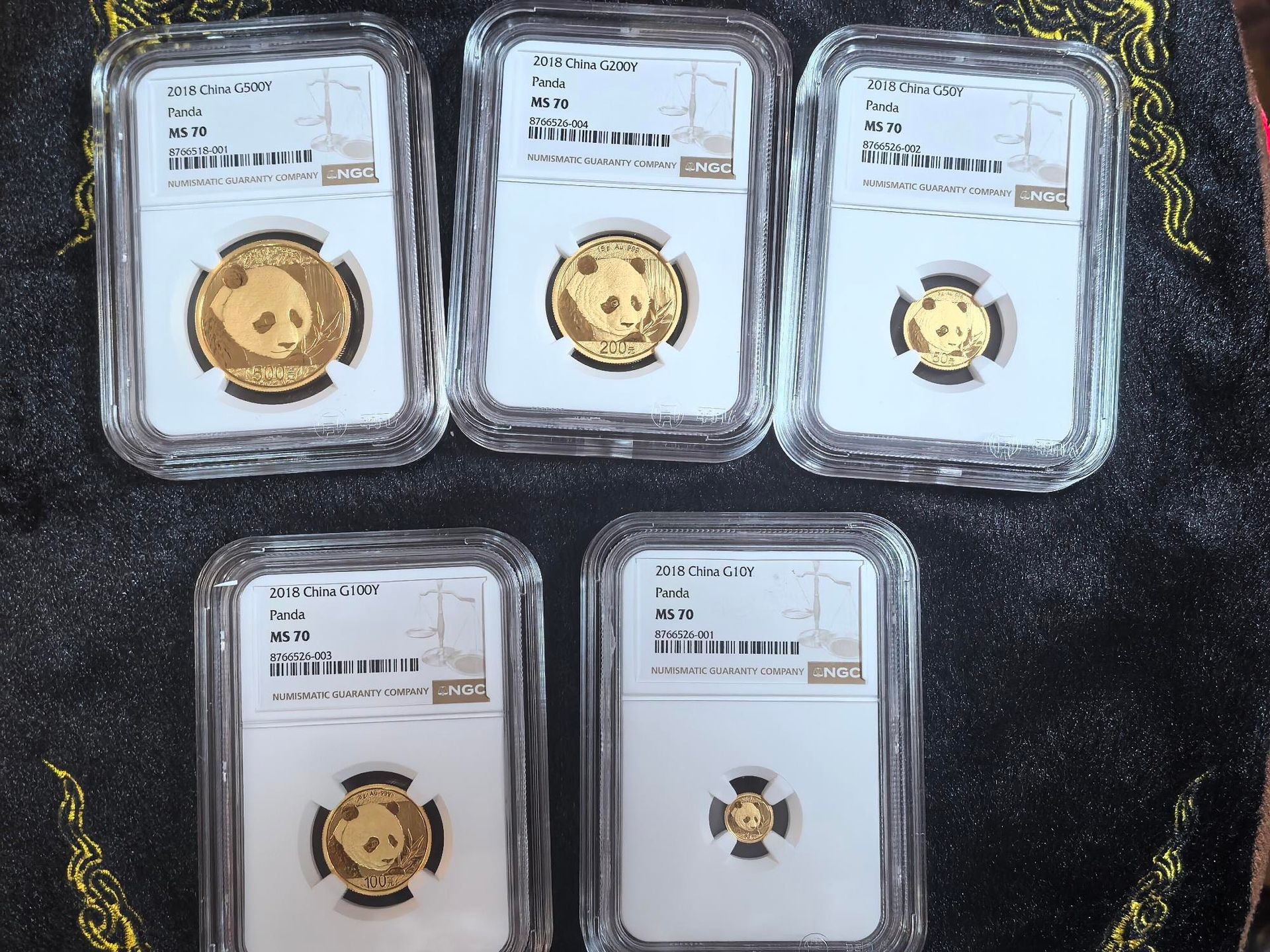 金幣 OGP 原裝盒、COA 證書、舊軟膠 PVC 殘留與無 PVC 膠囊保存對照