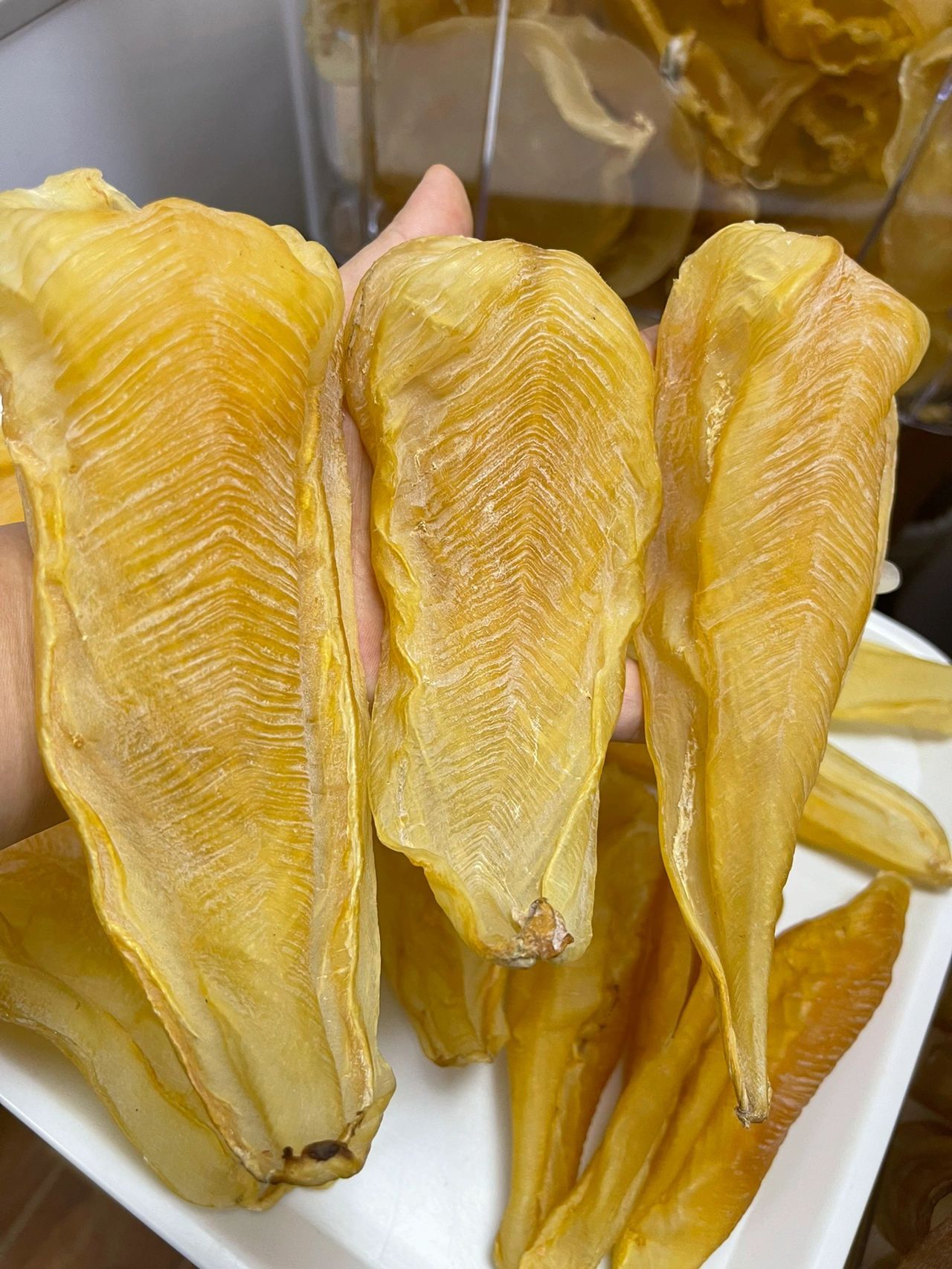 花膠、海參與乾鮑估價細節近拍示意
