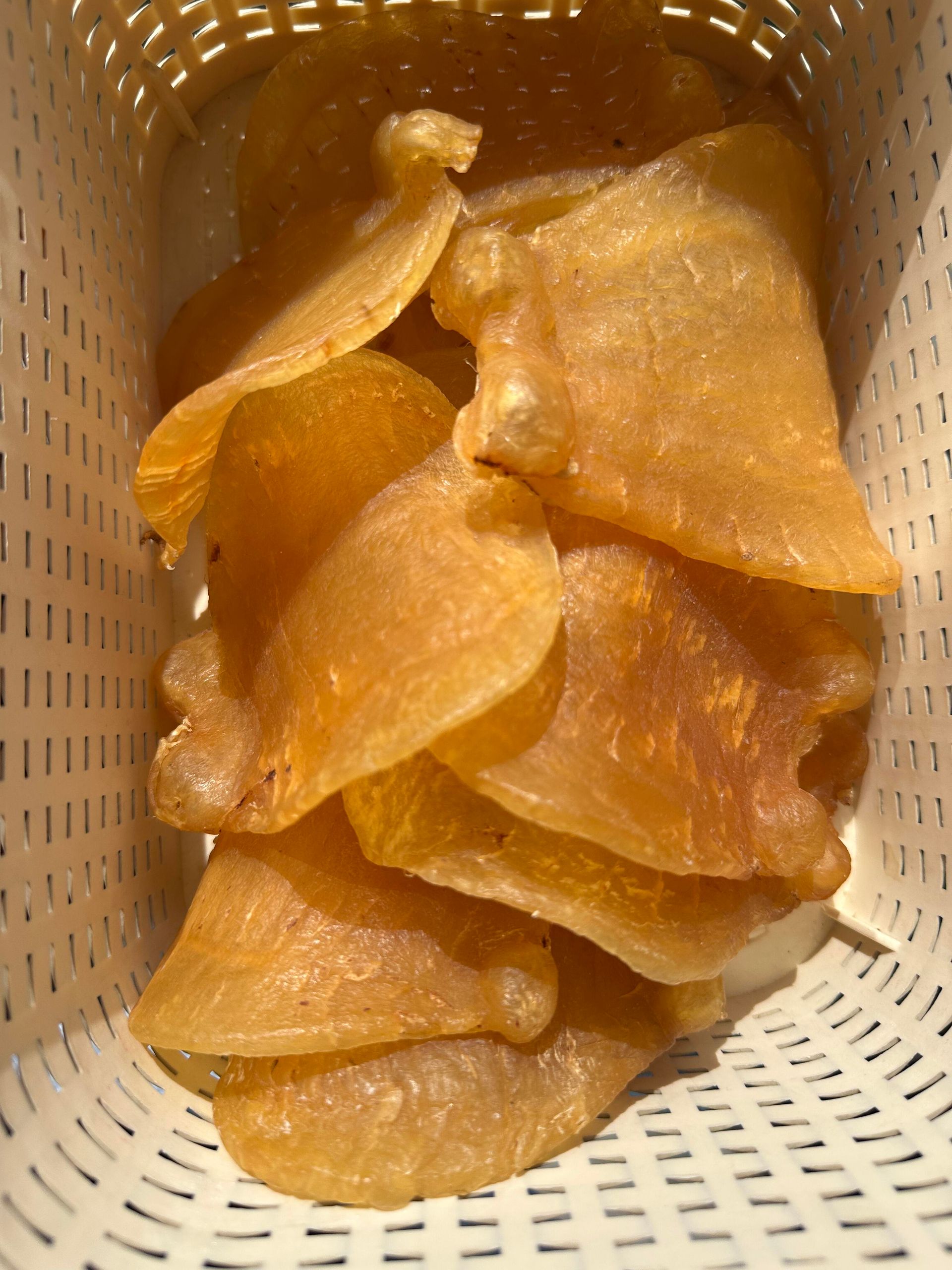 不同年份、頭數及保存狀態的舊花膠連同來源資料對照