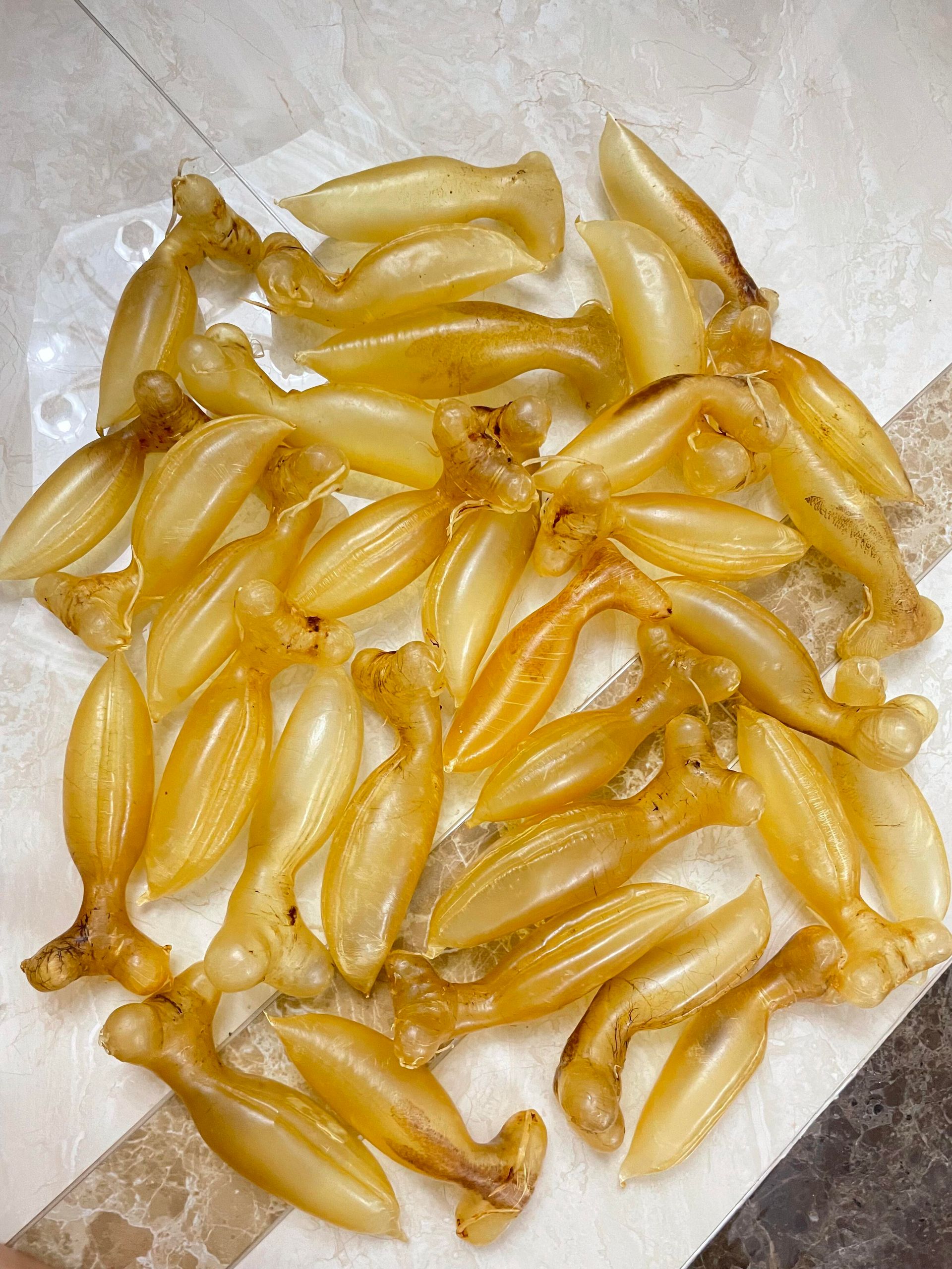 天然陳年花膠與染色、漂白、高溫烤乾人工做舊疑點對照