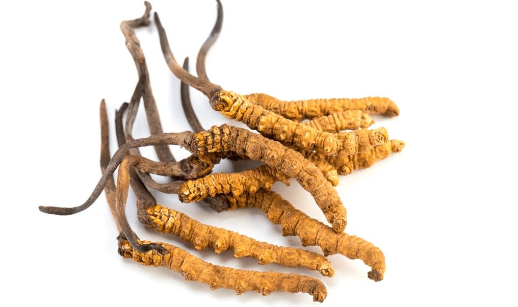 高價回收冬蟲草 - 那曲、玉樹、斷草