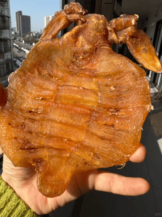 陳年老花膠特寫