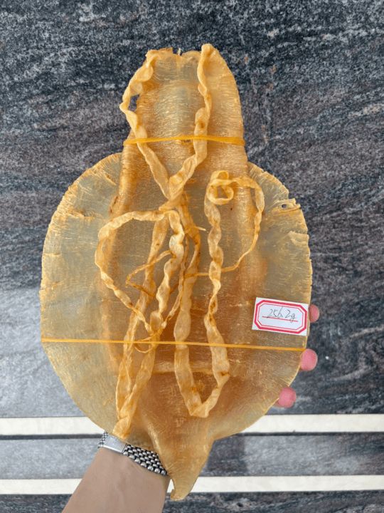 廣肚 (鰵魚膠) 回收