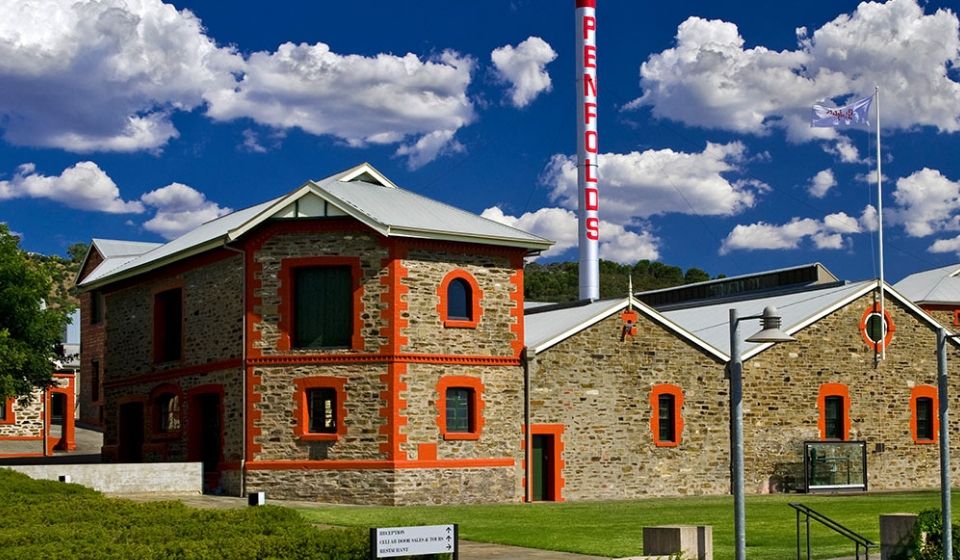 Penfolds 酒莊的葡萄園景觀