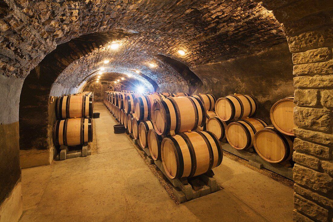 香港恆溫酒窖內的珍藏名酒