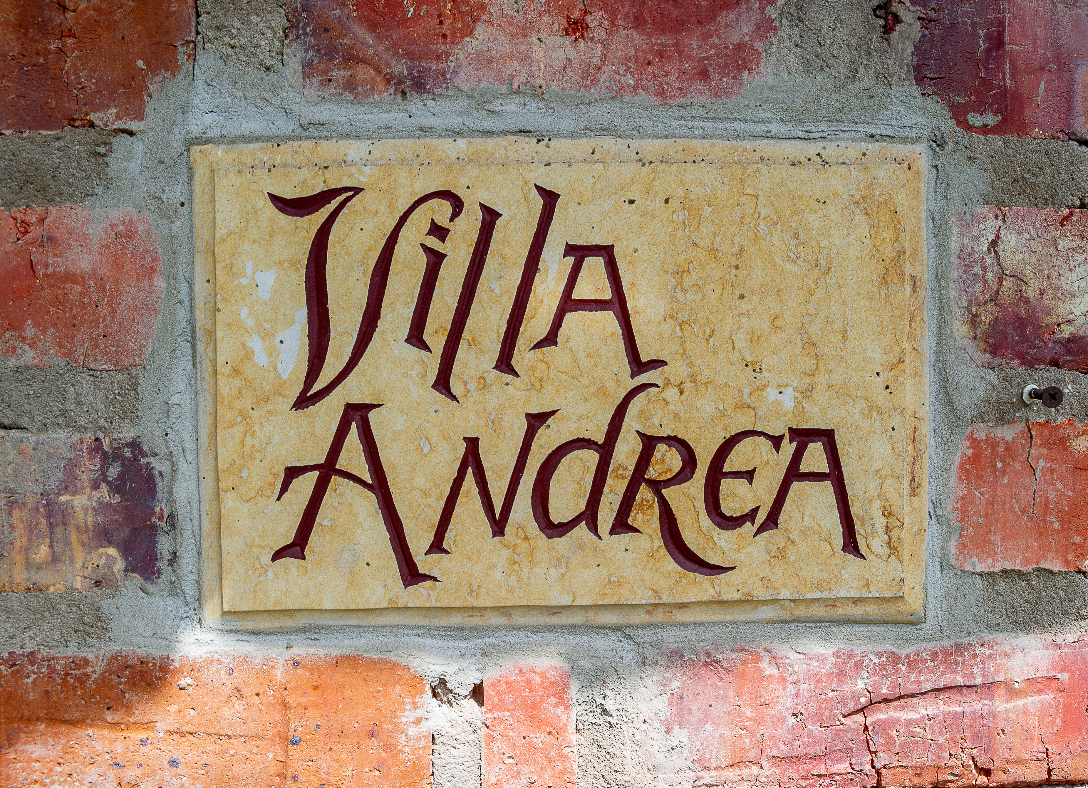 Entrada Detalle 1