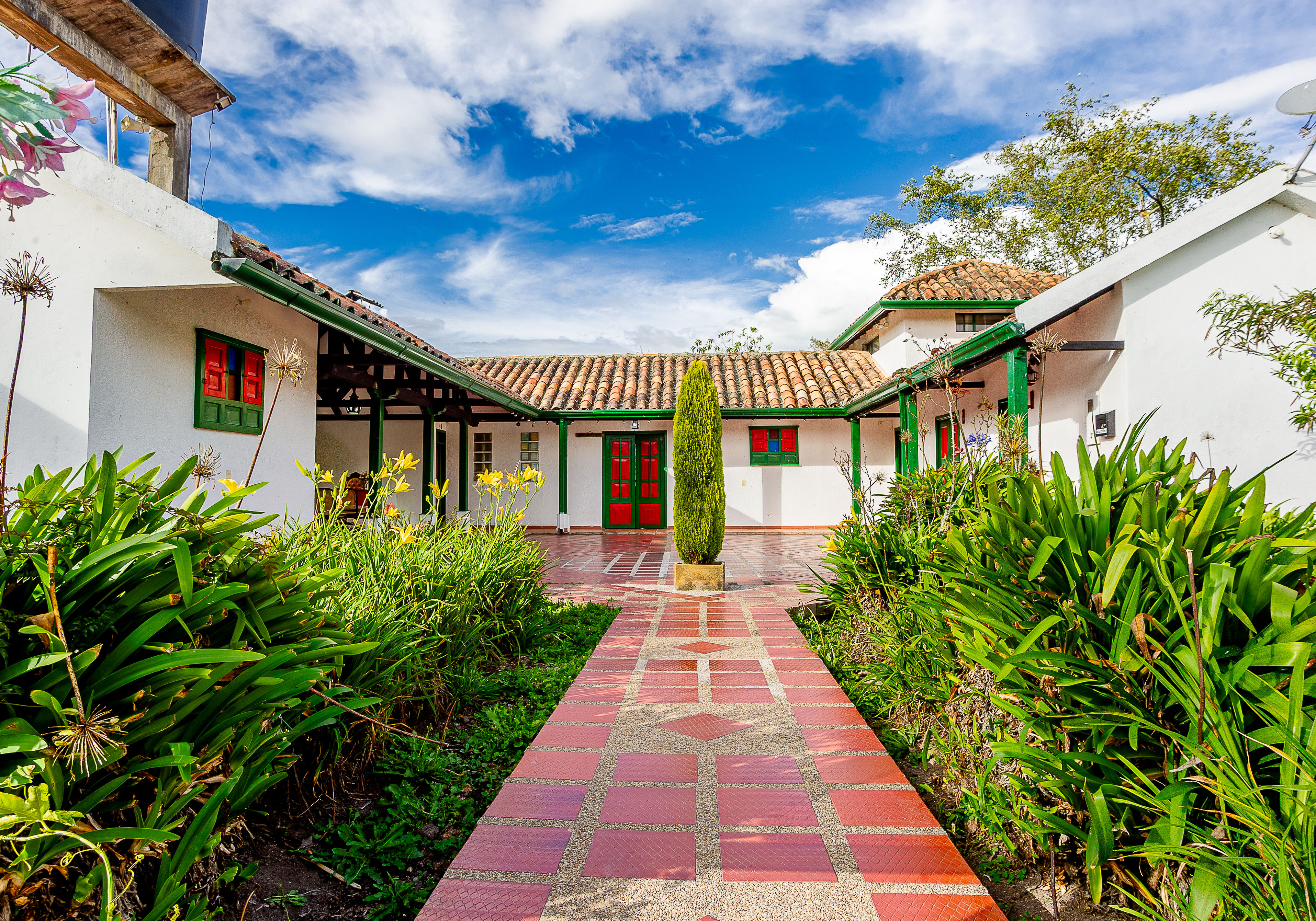 Patio Vista 2