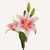 En elegant Lilja ljusrosa Gunsan, Konstgjord lilja 52 cm hög med naturligt utseende och känsla. Detaljerad utformning med realistiskt bladverk. 