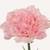 En elegant Nejlika rosa Diana, Konstgjord nejlika 50 cm hög med naturligt utseende och känsla. Detaljerad utformning med realistiskt bladverk. 