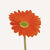 En elegant Gerbera orange Astrid, Konstgjord gerbera 38 cm hög med naturligt utseende och känsla. Detaljerad utformning med realistiskt bladverk. 