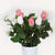 En elegant Rosbukett vit och rosa Love med vit Jasmin, Konstgjord blombukett med 12 blommor och snittgrönt med naturligt utseende och känsla. Detaljerad utformning med realistiskt bladverk. 