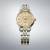 SEIKO Presage 