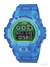 CASIO G-Shock Basic DW-6900LS-2ER