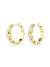 Swarovski Hoop Örhängen Imber - Guld 5711483