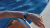 ORIS Divers Sixty-Five Date 39mm 01 733 7795 4055-Set Dykarklocka, Automatverk, Blå tavla, Datum, Rostfritt stål