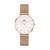 Daniel Wellington Classic Petite Melrose 32mm, handla denna klocka online eller i butik hos klockmaster