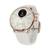 WITHINGS SCANWATCH 2 38MM, handla denna klocka online eller i butik hos klockmaster