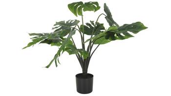 Konstplanta grön, h64, en produkt av hög kvalitet till bra pris från Ulfåsa möbler