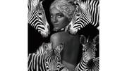 BILDE Zebra Queen, glas, 120x120  K, en produkt av hög kvalitet till bra pris från Ulfåsa möbler