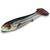 Flatnose Shad 19cm 50g shadjigg för gädda med bred profil och realistisk gång