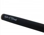 Bite of Bleak Exodus Pike 7'9 tum casting-spö 30–80g Daniel Nilsson Signature för modernt gäddfiske.