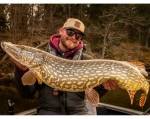 Bite of Bleak Exodus Pike 7'9 tum casting-spö 30–80g Daniel Nilsson Signature för modernt gäddfiske.