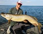 Bite of Bleak Exodus Pike 7'9 tum casting-spö 30–80g Daniel Nilsson Signature för modernt gäddfiske.