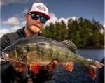 Bite of Bleak Exodus Perch 7'4 tum casting-spö 5–25g Daniel Nilsson Signature för modernt abborrfiske med jiggar och hårdbeten.