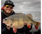 Bite of Bleak Exodus Perch 7'4 tum casting-spö 5–25g Daniel Nilsson Signature för modernt abborrfiske med jiggar och hårdbeten.