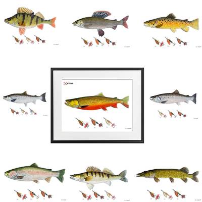 Myran Framed Posters tavla med ram fisketema inredning väggposter fiske motiv