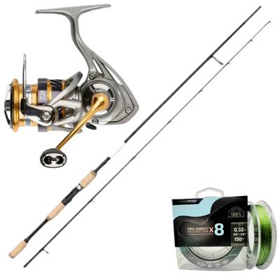 Myran Eciton Gäddcombo 8'0 35-100g – Daiwa Aggrest 4000 Med Flätlina