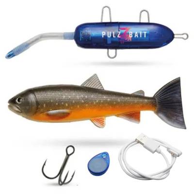 Pulz Bait Starter Kit med mjukbeten i 20 cm för predatorfiske