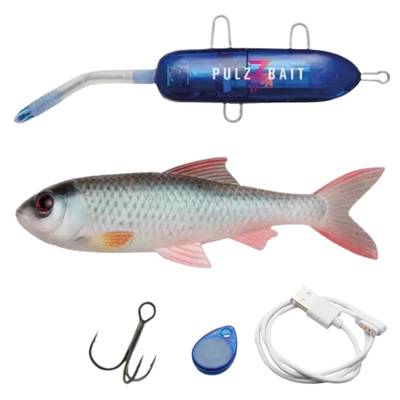Pulz Bait Starter Kit 15 cm – Skinz och Rigz ingår