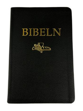Svenska Folkbibeln 2015 - Mellanformat - Skinn - Svart, en produkt från Nya Musik som utvecklar och engagerar människor i alla åldrar.