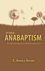 Ett frö av anabaptism, en produkt från Nya Musik som utvecklar och engagerar människor i alla åldrar.