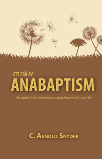 Ett frö av anabaptism, en produkt från Nya Musik som utvecklar och engagerar människor i alla åldrar.