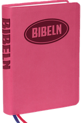 Konfabibeln (rosa), en produkt från Nya Musik som utvecklar och engagerar människor i alla åldrar.