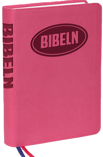 Konfabibeln (rosa), en produkt från Nya Musik som utvecklar och engagerar människor i alla åldrar.