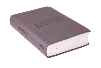 Bibeln för alla - Grå, en produkt från Nya Musik som utvecklar och engagerar människor i alla åldrar.