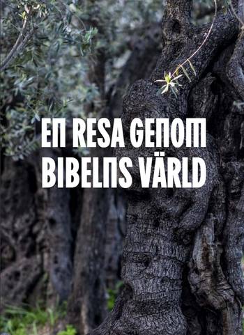 Bibel 2026 utan noter – hårdbunden, en produkt från Nya Musik som utvecklar och engagerar människor i alla åldrar.