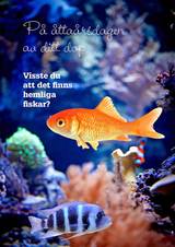 Dophälsning - 8 år, en produkt från Nya Musik som utvecklar och engagerar människor i alla åldrar.